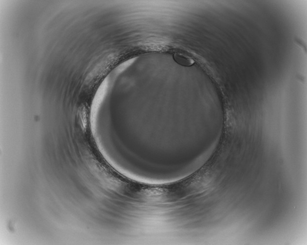 X0000103950069200810031356