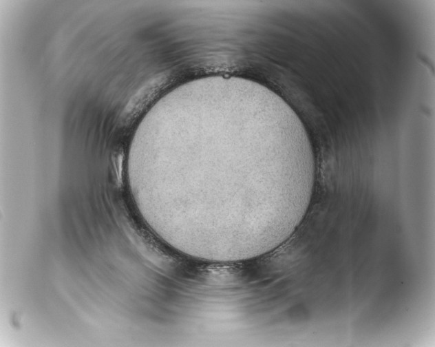 X0000103950070200810031356