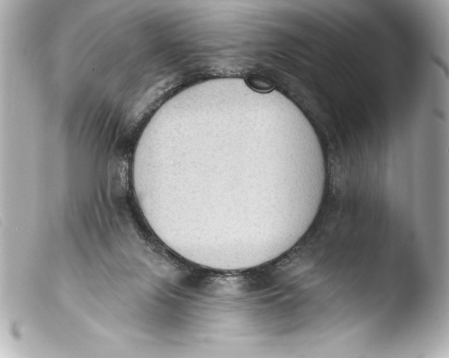 X0000103950071200810031356