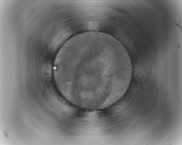 X0000103950072200810031356