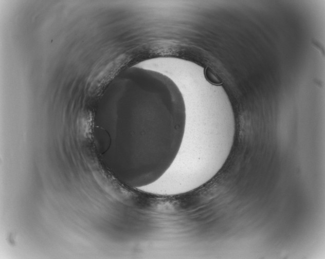 X0000103950073200810031356