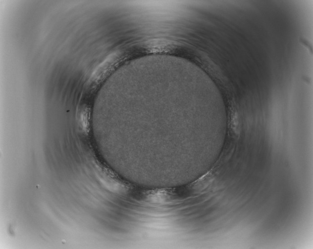 X0000103950074200810031356