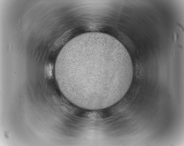 X0000103950075200810031356