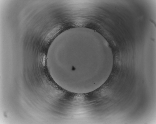 X0000103950076200810031356