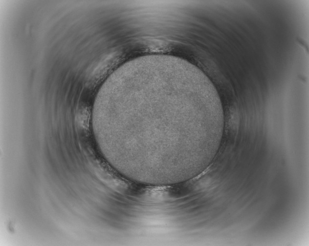 X0000103950078200810031356