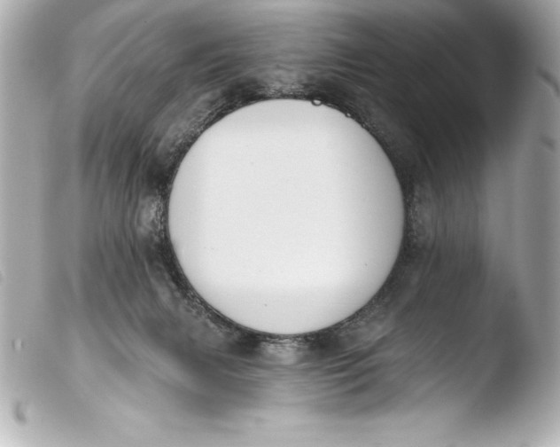 X0000103950079200810031356