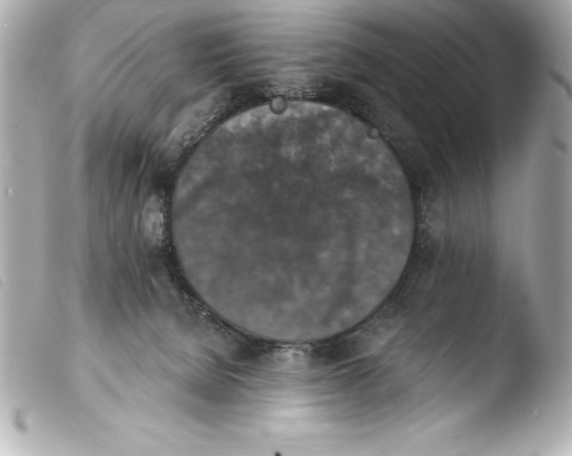 X0000103950080200810031356