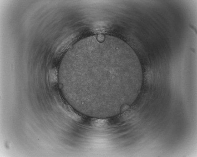 X0000103950081200810031356