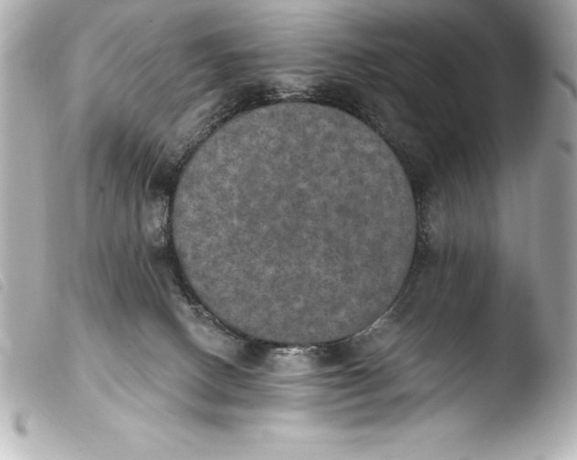 X0000103950082200810031356