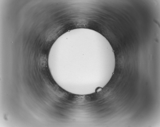 X0000103950083200810031356