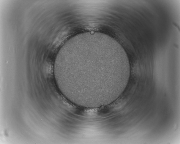 X0000103950084200810031356