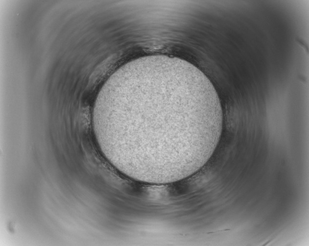 X0000103950085200810031356