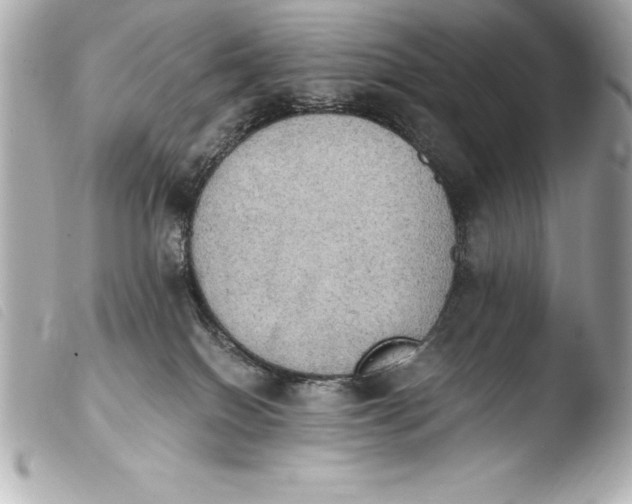 X0000103950086200810031356