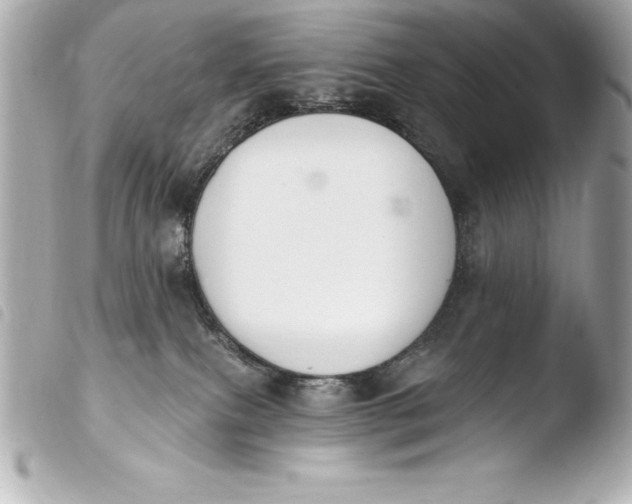 X0000103950087200810031356