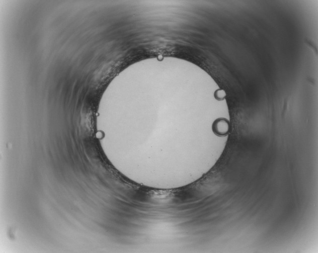 X0000103950088200810031356