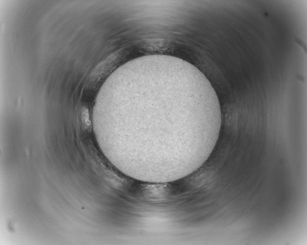 X0000103950089200810031356