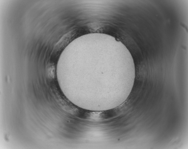 X0000103950090200810031356