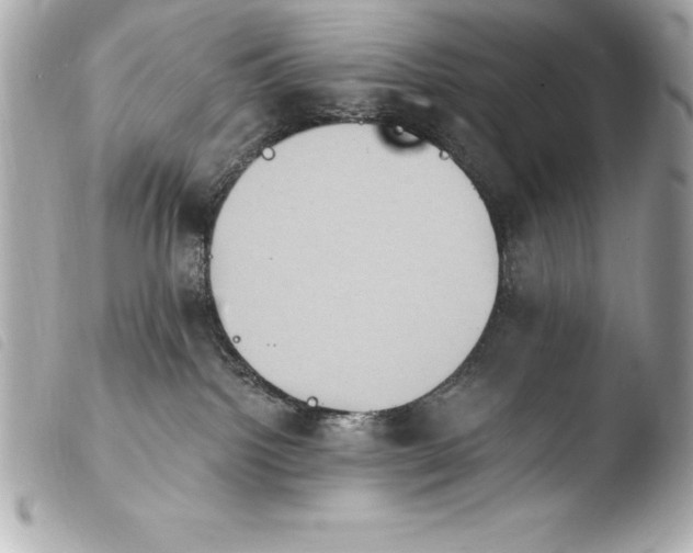 X0000103950092200810031356