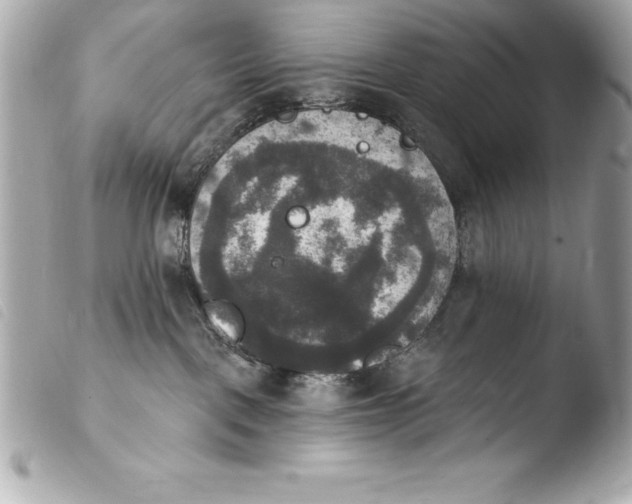 X0000103950093200810031356