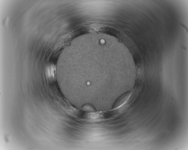 X0000103950094200810031356