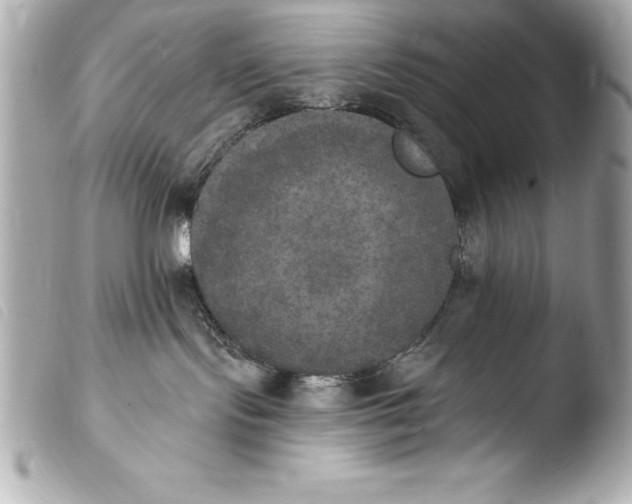 X0000103950095200810031356