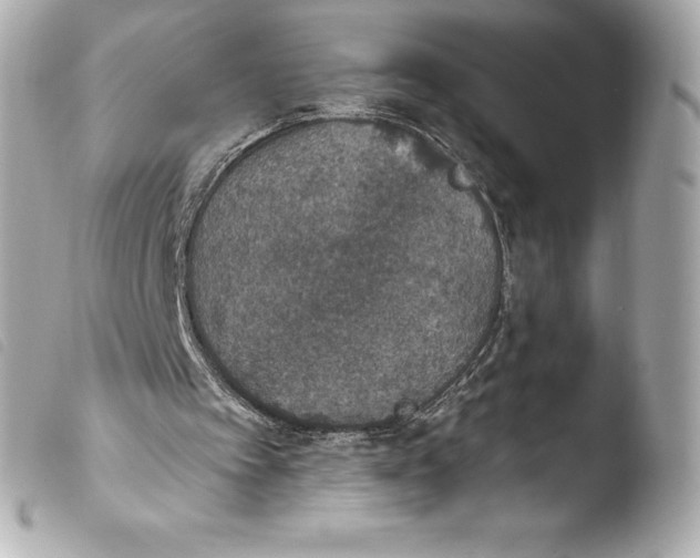 X0000103950097200810031355