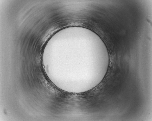 X0000103950098200810031355