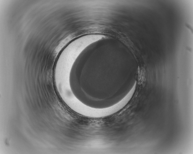 X0000103950099200810031355