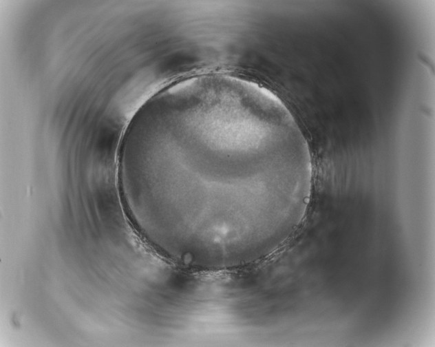 X0000103950100200810031355