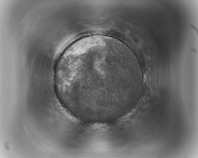 X0000103950101200810031355