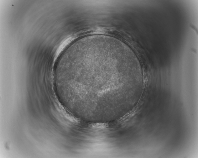 X0000103950102200810031355