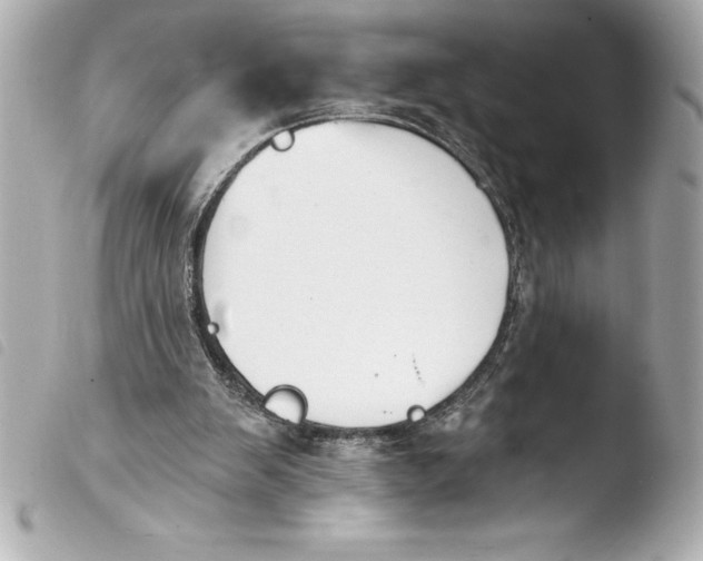 X0000103950103200810031355