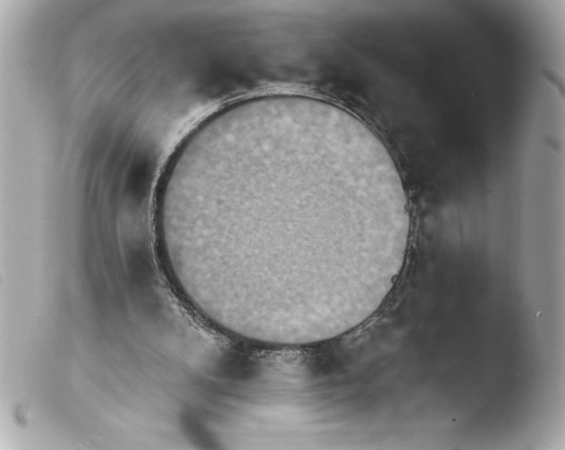 X0000103950104200810031355