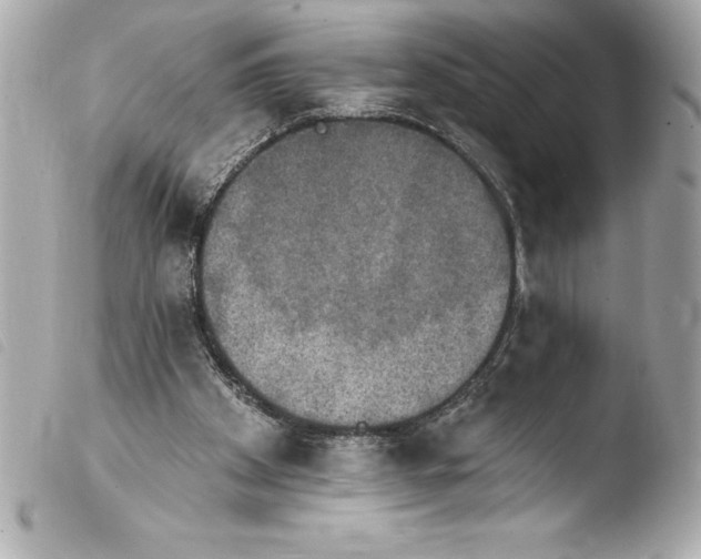 X0000103950105200810031355