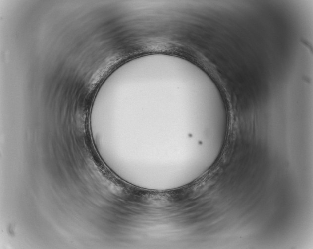 X0000103950106200810031355