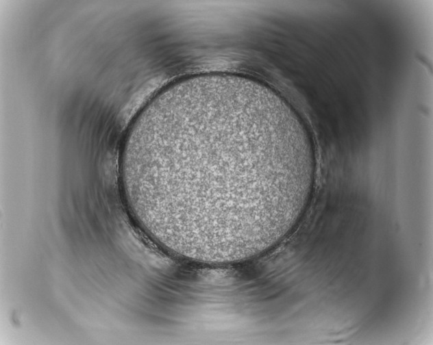 X0000103950107200810031355