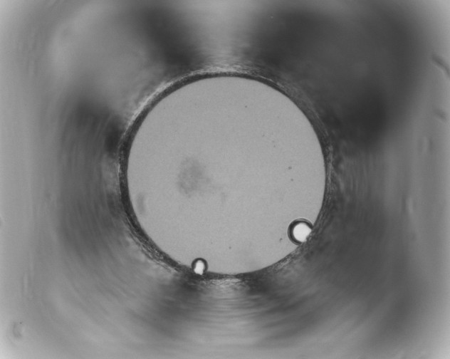 X0000103950108200810031355