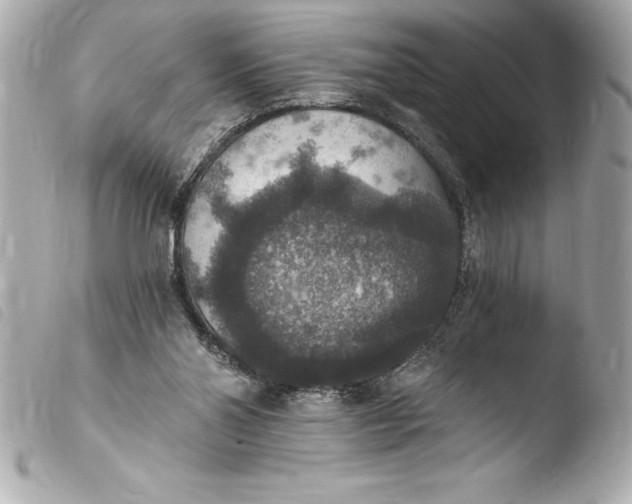 X0000103950110200810031355