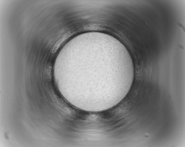 X0000103950111200810031355