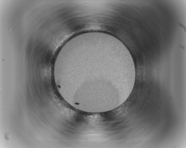 X0000103950112200810031355