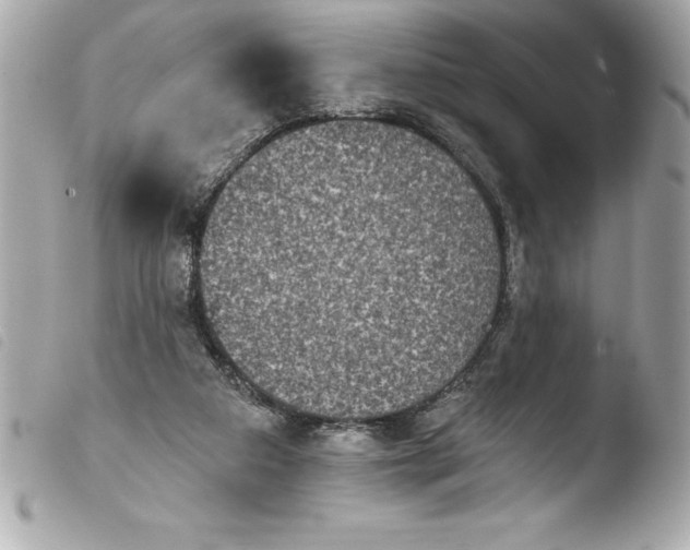 X0000103950113200810031355