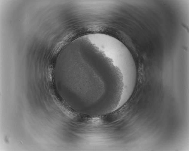 X0000103950114200810031355