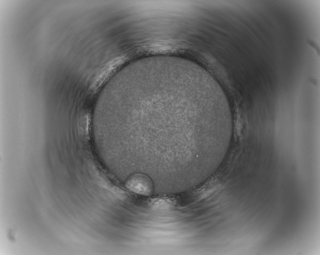 X0000103950115200810031355