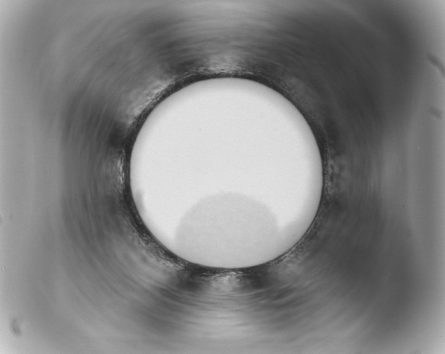 X0000103950116200810031355