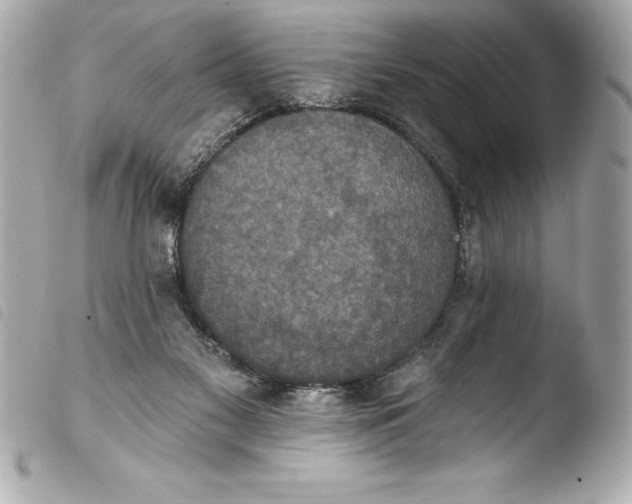 X0000103950117200810031355