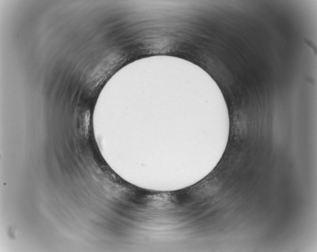 X0000103950118200810031355