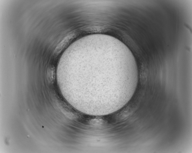 X0000103950119200810031355