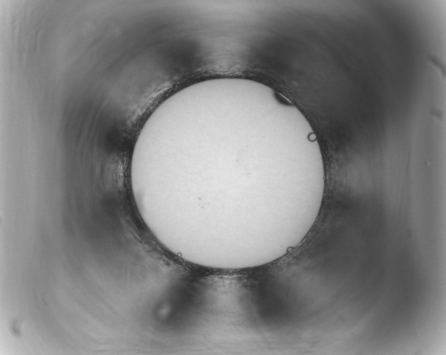 X0000103950120200810031355