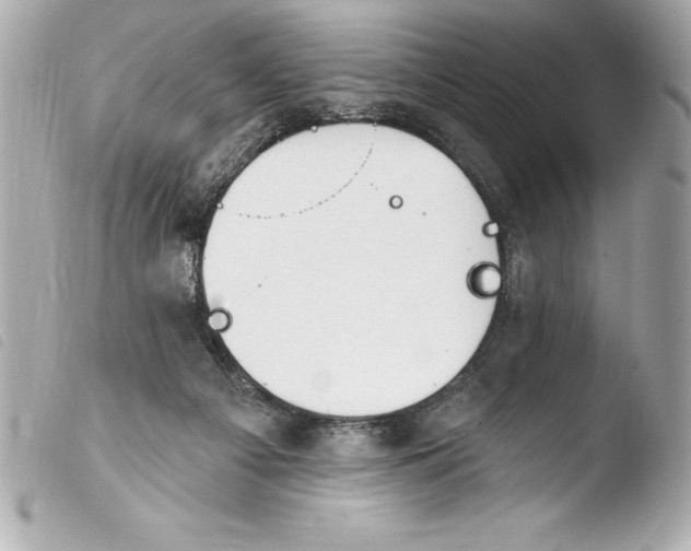 X0000103950121200810031355