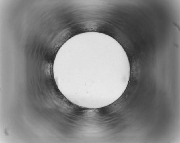 X0000103950122200810031355